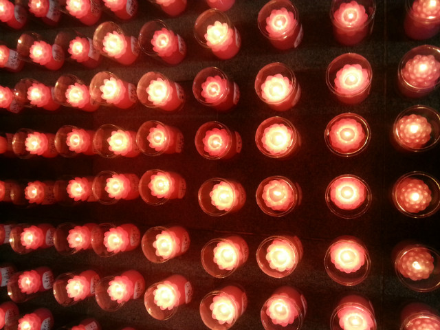 MyPhoto_1112974538_0548.jpg