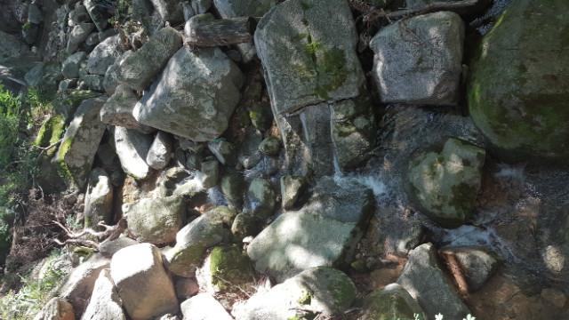 20170826_142818.jpg