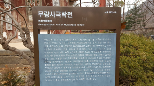 20171125_145050.jpg