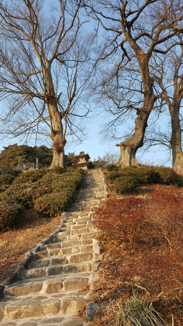 20171223_154853.jpg