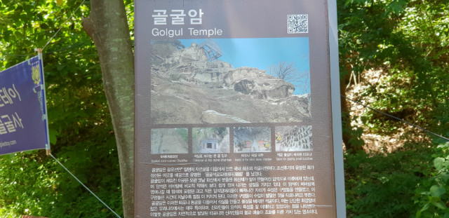 20180715_111722.jpg