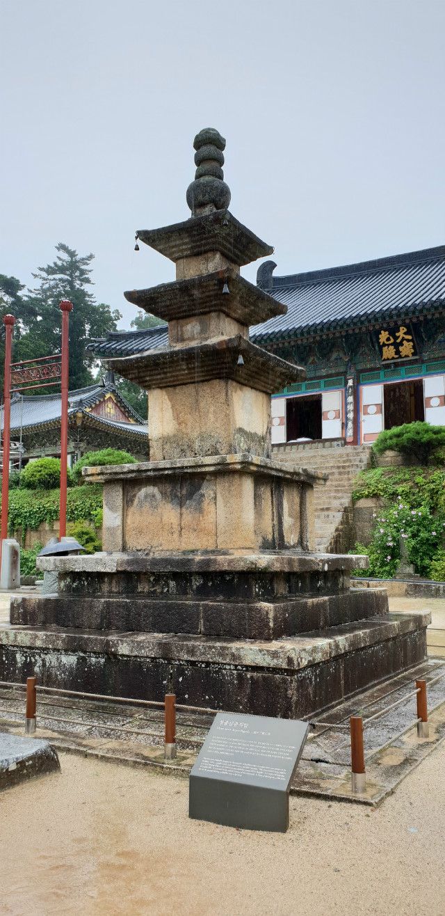 20180826_134805.jpg