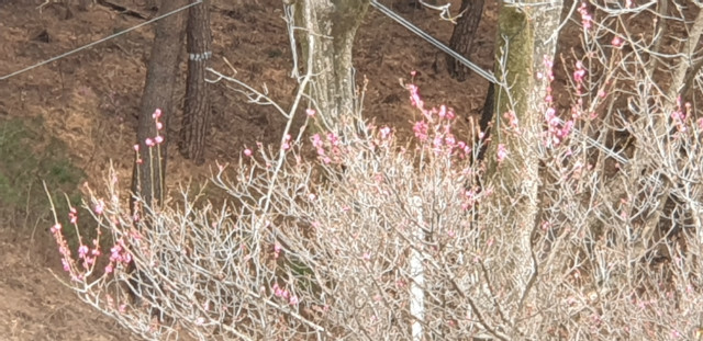 20190323_141343.jpg