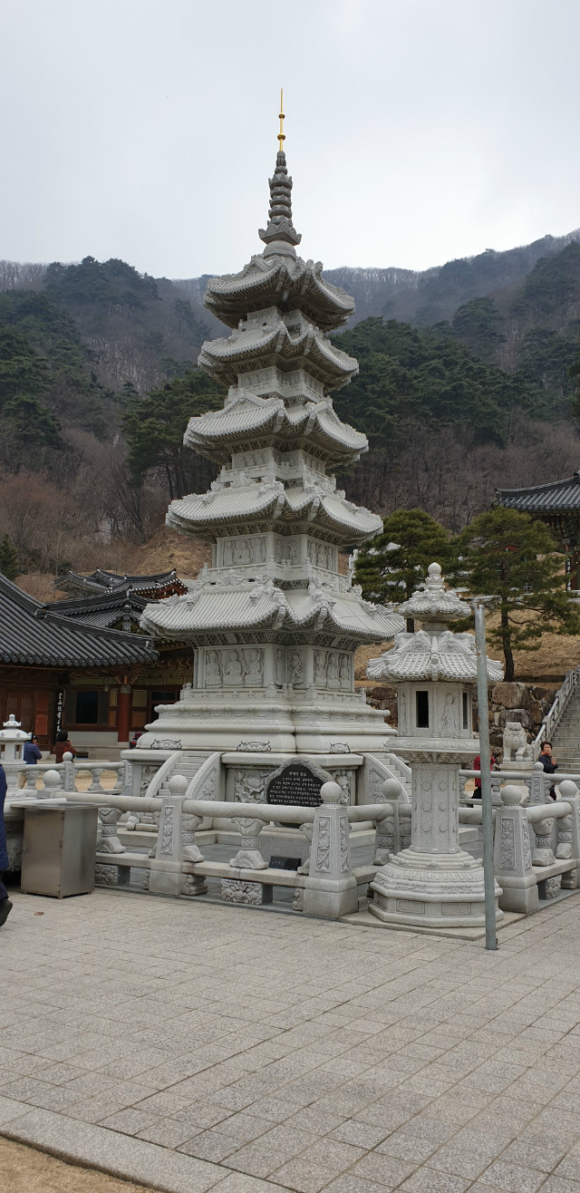 20190331_145402.jpg