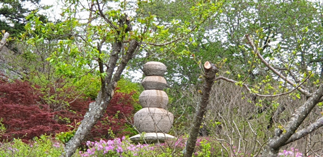 20190427_154534.jpg