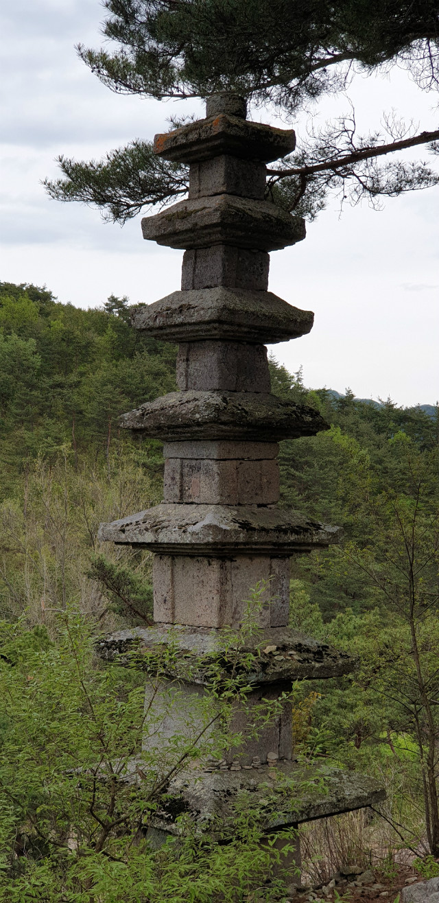 20190427_163123.jpg