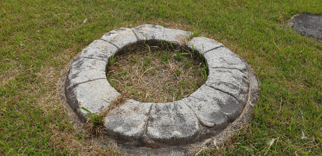 20190525_154256.jpg