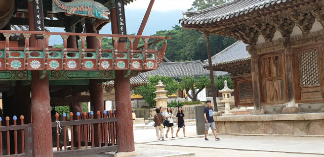 20190727_103556.jpg